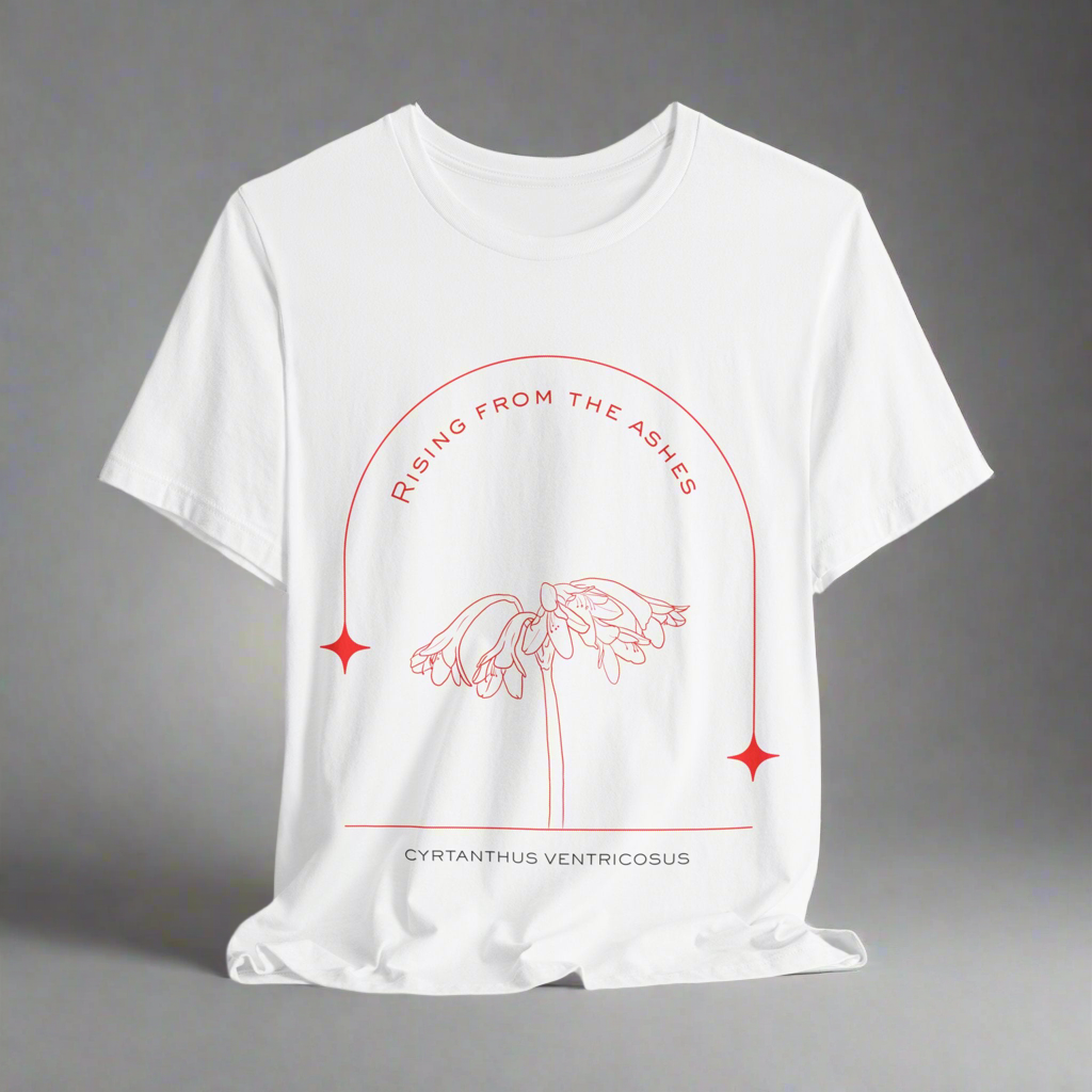 T-shirt design with minimalistic hand drawn fire lily. Cyrtanthus Ventricosus