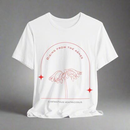 T-shirt design with minimalistic hand drawn fire lily. Cyrtanthus Ventricosus
